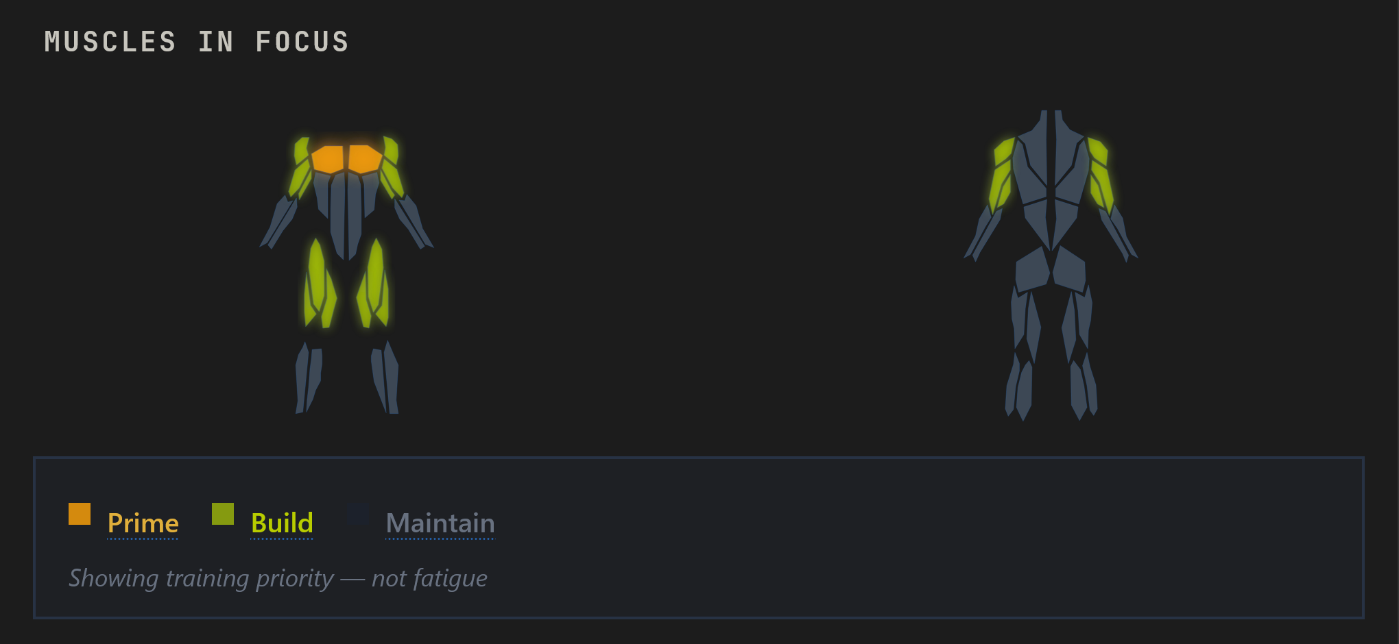 Muscle priority map with Prime, Build, and Maintain tier assignments